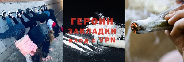 прущие грибы Алзамай