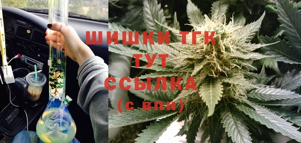 прущие грибы Алзамай