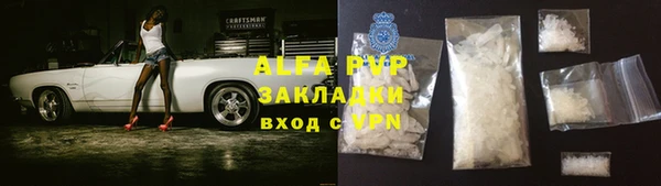 прущие грибы Алзамай