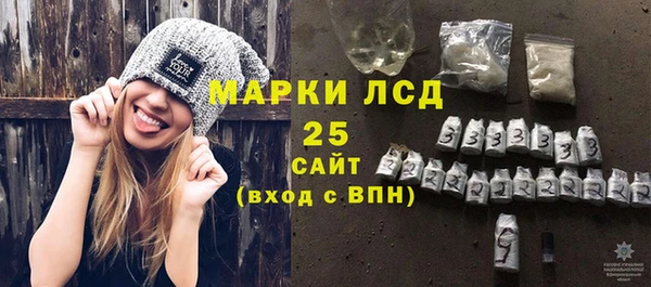 прущие грибы Алзамай