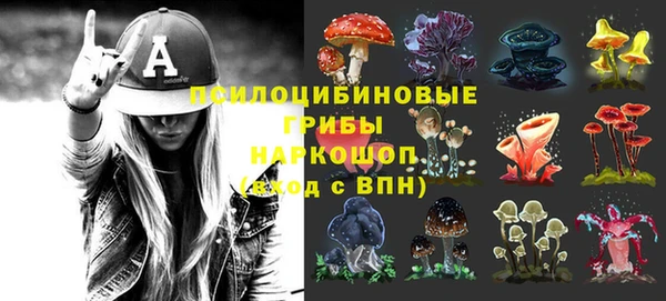 дмт Алексеевка