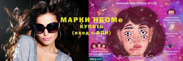 прущие грибы Алзамай