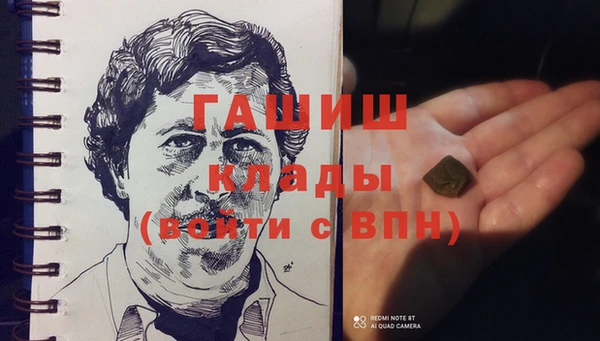 дмт Алексин