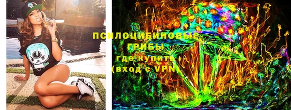 прущие грибы Алзамай