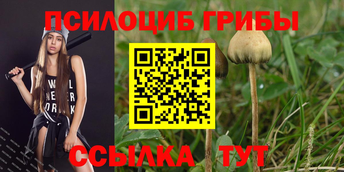 Тверь  купить закладку  Вход с VPN  Псилоцибиновые грибы ЛСД 